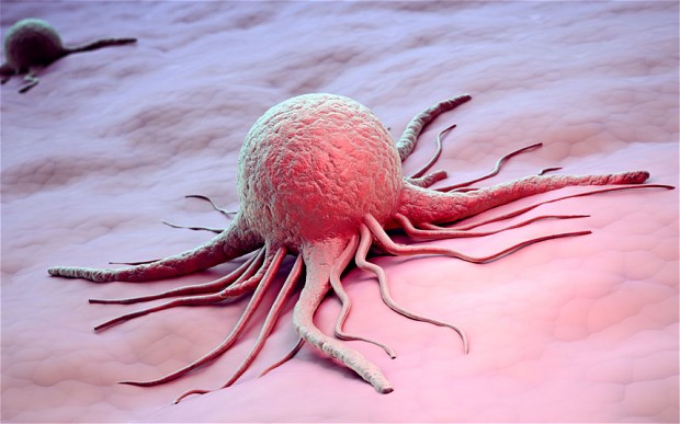 Breast Cancer Cell (www.telegraph.co.uk)